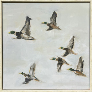 Mallard Migration II Canvas