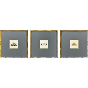 Pastel Moths I S/3 Framed Art