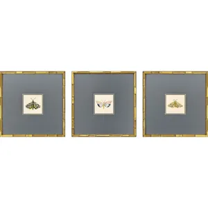 Pastel Moths I S/3 Framed Art