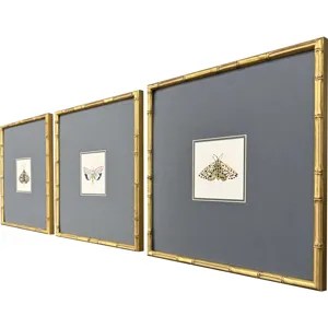 Pastel Moths I S/3 Framed Art