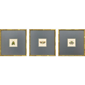Pastel Moths II S/3 Framed Art