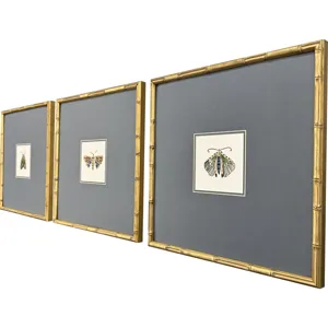 Pastel Moths II S/3 Framed Art