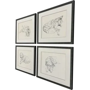 Antique Dog Sketch S/4 Framed Art