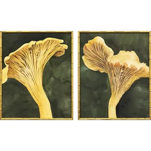 Chanterelle S/2 Framed Art