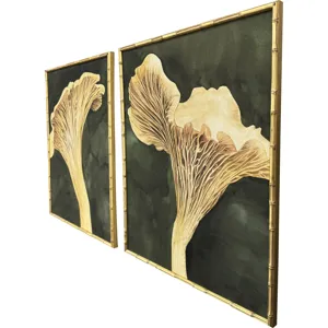 Chanterelle S/2 Framed Art