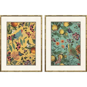 Floral Fruit Garden S/2 Framed Art