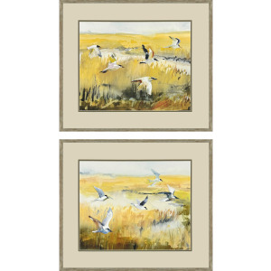 Terns on Marsh S/2 Framed Art