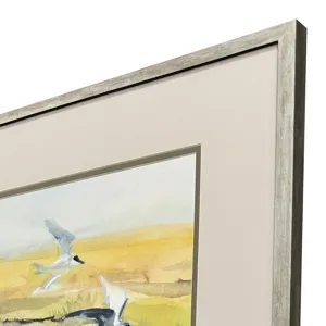 Terns on Marsh S/2 Framed Art
