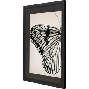 Grand Butterfly I Framed Art