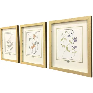 Garden Study I S/3 Framed Art