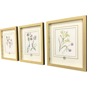 Garden Study II S/3 Framed Art