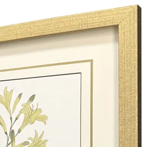 Garden Study II S/3 Framed Art