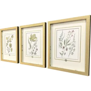 Garden Study III S/3 Framed Art