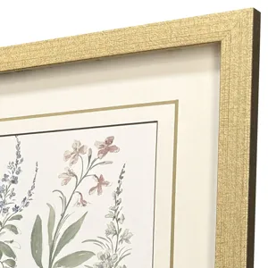 Garden Study III S/3 Framed Art