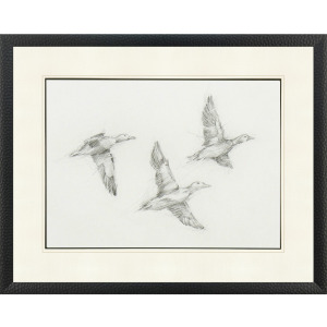 Mallard Duck Sketch I Framed Art