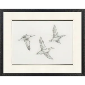 Mallard Duck Sketch I Framed Art