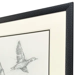 Mallard Duck Sketch I Framed Art