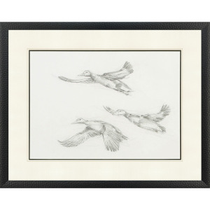 Mallard Duck Sketch II Framed Art