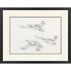 Mallard Duck Sketch II Framed Art