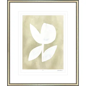 Textured Corolla IV Framed Art
