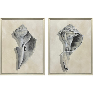 Broken Shells I S/2 Framed Art