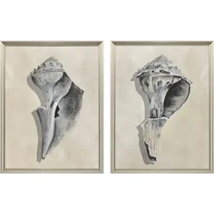 Broken Shells I S/2 Framed Art