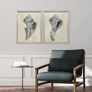 Broken Shells I S/2 Framed Art