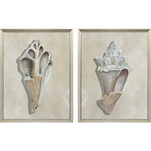 Broken Shells II S/2 Framed Art