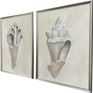 Broken Shells II S/2 Framed Art
