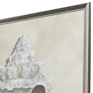 Broken Shells II S/2 Framed Art
