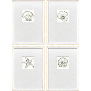 Coastal Reef S/4 Framed Art