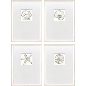 Coastal Reef S/4 Framed Art