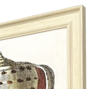 Conch Study II Framed Art