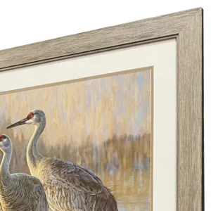 Reflection Framed Art
