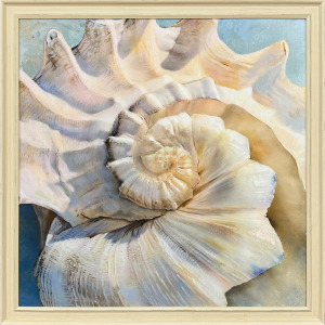 Center Shell Framed Art