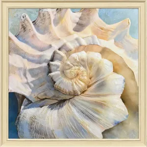 Center Shell Framed Art