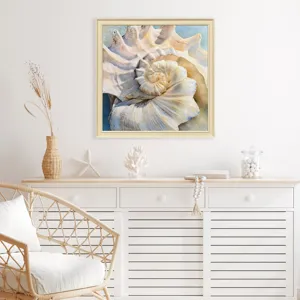 Center Shell Framed Art