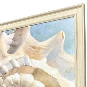 Center Shell Framed Art