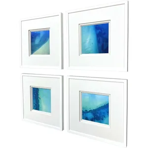 Nature From Above S/4 Framed Art