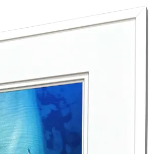 Nature From Above S/4 Framed Art