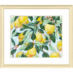 Sunshine Citrus II Framed Art