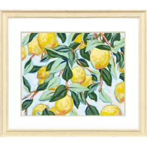 Sunshine Citrus II Framed Art