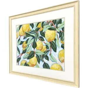 Sunshine Citrus II Framed Art