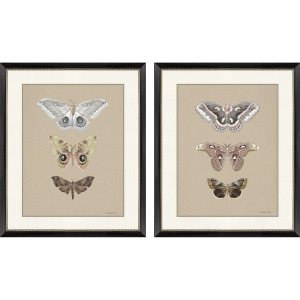 Beauty of the Forest S/2 Framed Art