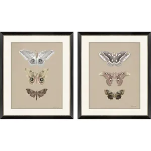 Beauty of the Forest S/2 Framed Art