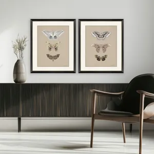 Beauty of the Forest S/2 Framed Art