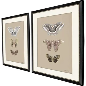 Beauty of the Forest S/2 Framed Art