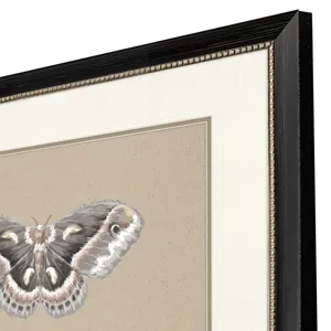 Beauty of the Forest S/2 Framed Art