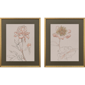 Delicate Sketch I S/2 Framed Art