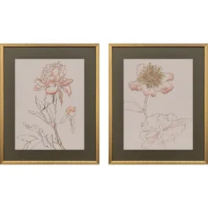 Delicate Sketch I S/2 Framed Art